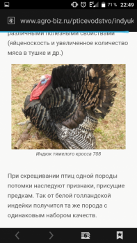 Вот таких ждём