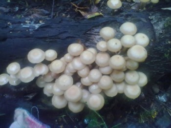 Что день прошедший нам принес - 260820172102.jpg