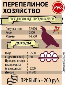 Курочки и не только - 3_GFP7ocReI.jpg