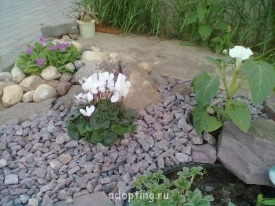  Сухой ручей  - 06062013298.jpg