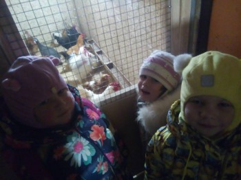 Зверье мое - IMG_20171023_174840.jpg