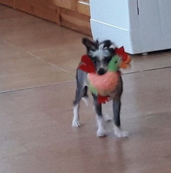 Улыбнитесь  - mFr_pI83nwo.jpg