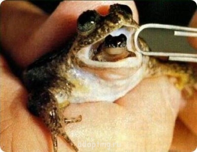 Это интересно - 356363.jpg