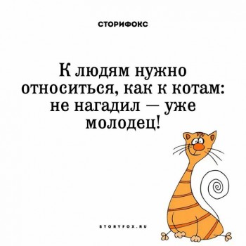 Мудрые слова - мудрость.jpg