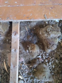 Угрюмые записки - 2.jpg