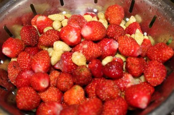 Давайте поговорим о клубнике? - 20180713220931_IMG_7381.JPG