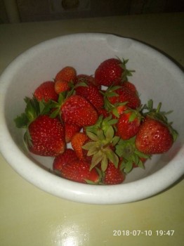 Давайте поговорим о клубнике? - P80710-194724.jpg