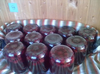 Заготовки из ягод - 220720182295.jpg