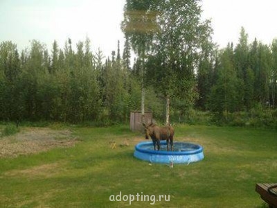 О погоде. Что нынче за окошком? - 3059_6p6_421879_482042431873414_1360194562_n.jpg