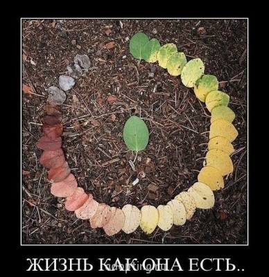 Логотип форума - wWPgRnidIUI.jpg