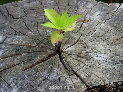 Логотип форума - 3440.jpg