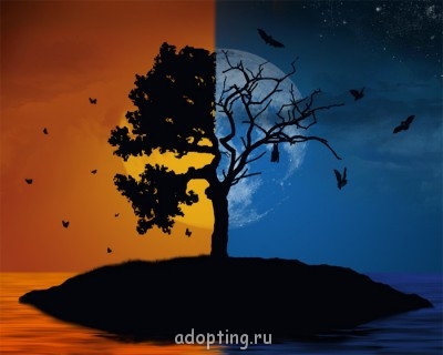 Логотип форума - 1973231.jpg