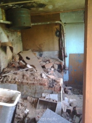 Наши взрослые приемные дети  - дом.jpg