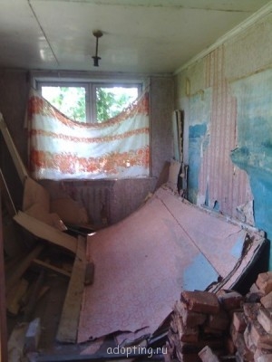 Наши взрослые приемные дети  - дом1.jpg