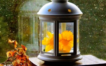 Мудрые слова - fonstola.ru-148242.jpg