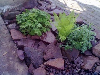  Сухой ручей  - 190620171932.jpg