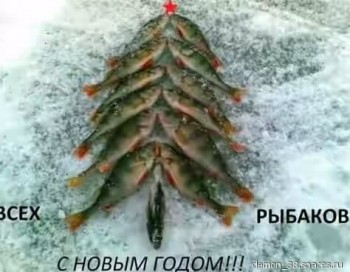 ЁЛКИ - I1qBbsPnsj.jpg