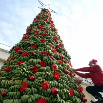 ЁЛКИ - LOGdDTsMtm0.jpg