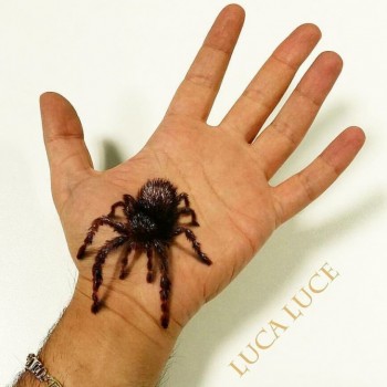 Удивительные люди - original2.jpg