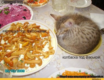 Улыбнитесь  - 93980576_0a0cf28f914281d17ed26490ea5e2f31_800.jpg