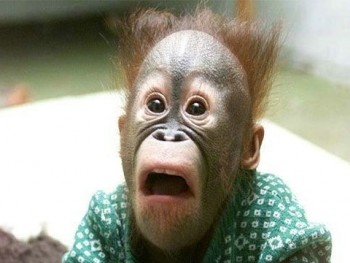 Житейская психология - image (18).jpg