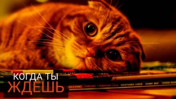 Житейская психология - image (59).jpg