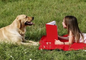 ДИСЛЕКСИЯ - 2x8GAPCOwhU.jpg