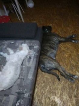 Всегда рядом