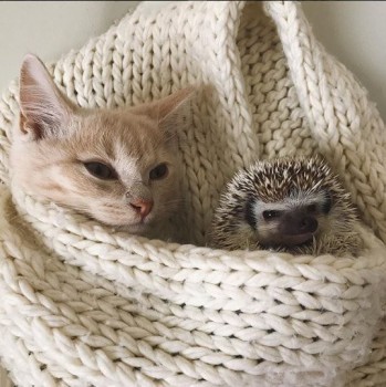 Житейская психология - image (15).jpg