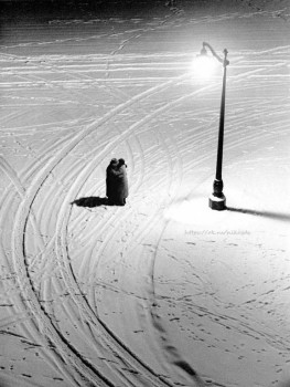 Мудрые слова - image (83).jpg