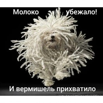 Улыбнитесь  - image (9).jpg