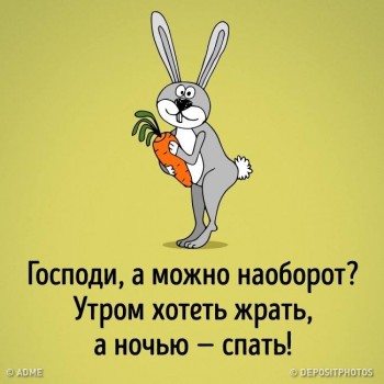 Дамские разговоры или как-таки похудеть - 52544859_10156265781135172_8972046403417145344_n.jpg