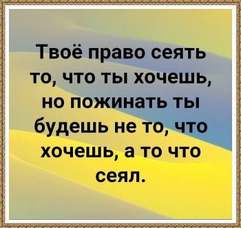 Мудрые слова - 53643421_2199124176812755_3394065366991765504_n.jpg